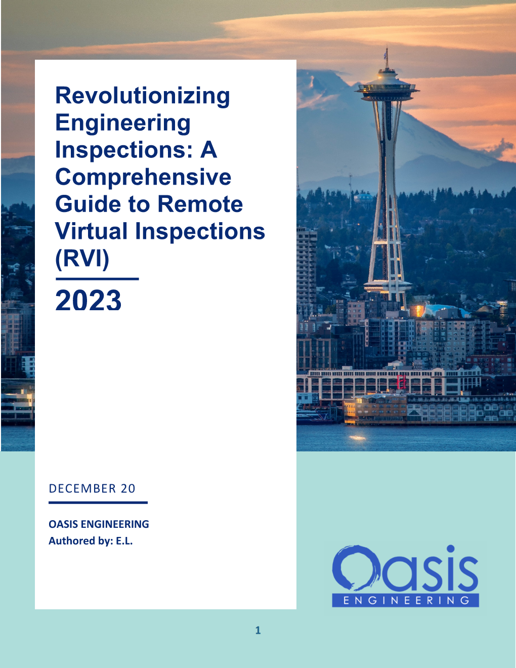 Remote Virtual Inspection Report
